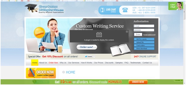 Cheap custom essay writing service