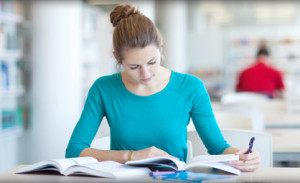 Customs essay writing
