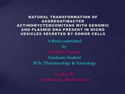 Dissertation powerpoint