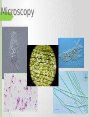 Dna fingerprinting lab report