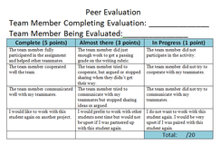 Group project peer evaluation