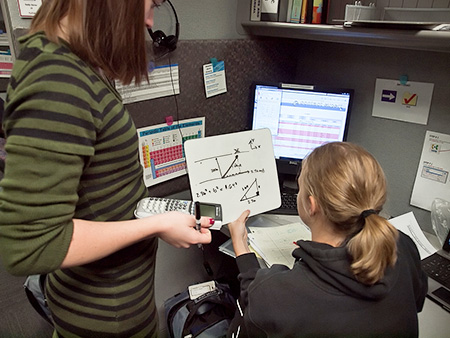 Homework hotline online