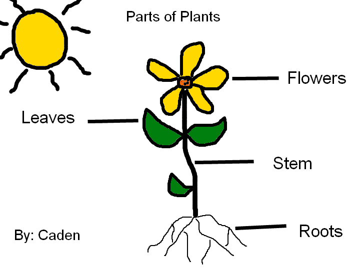 Parts of a lab