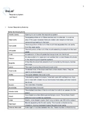 View Notes - Human physiology respiratory lab from BIOL 310 at NYIT.